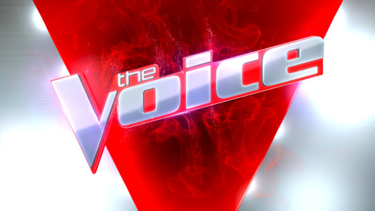 Joe Jonas Revealed As The New Superstar Coach On The Voice - Nine for ...