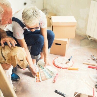Renovators + DIY