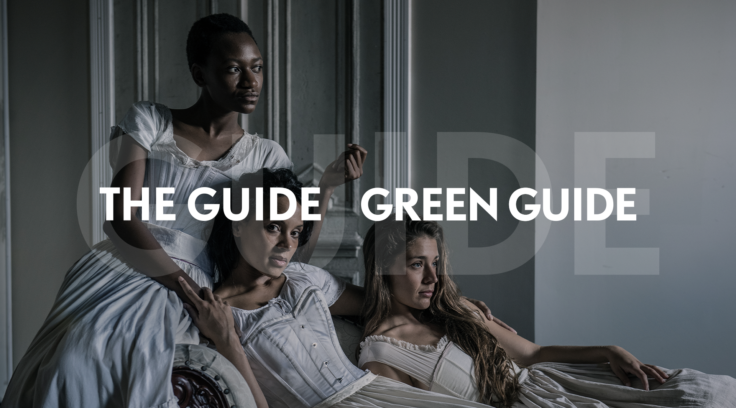 The Guide / Green Guide
