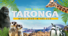 A zoo-perb season awaits! Taronga: Who's Who in the Zoo returns for season five